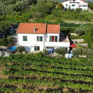 Frühstückspension In Vino Veritas